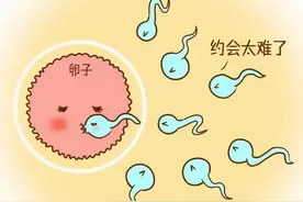 进入女性体内，没和卵子相遇的小蝌蚪去哪了？看完可不要偷笑图片