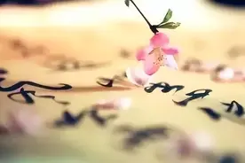 赏读｜最美唐诗，诗短情长图片
