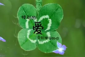 永远忘不了你的好，想你，心梦在飞翔，撰写着诗情画意的爱图片