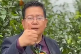 武鸣沃柑你记住了没？快去围观，评论区笑坏了图片