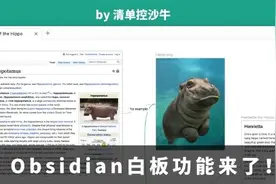 知识管理神器 Obsidian，终于有了白板功能！图片