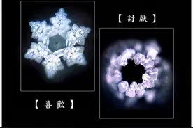 《水知道答案》：对水说些好话，体验它带给你的强大疗愈力图片