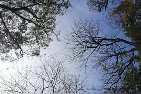 追风筝的人 读后感图片