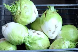 教你在家腌芥菜，脆爽好吃又呛鼻，腌1天就能吃，做法超简单图片