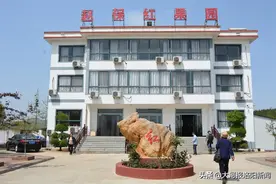 宜阳县赵保镇第七届槐花节经典游览线路（一）——生态养生采摘游图片