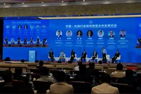 马一德：行政保护在知识产权保护格局中有不可替代优势图片