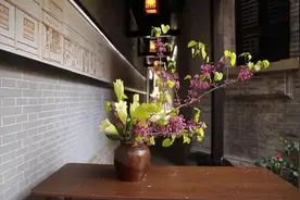 二十四节气花｜《紫气东来》《庭院花开正好》热情迎立夏图片