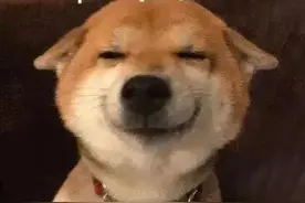 有哪些很难忍住不复制的沙雕文案图片