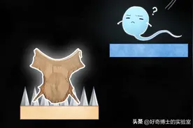 没有套套的时候，人类是如何花样避孕的？图片