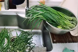 韭菜盒子—晏如图片