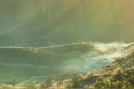 麻麻花的山坡，享受惬意慢时光图片