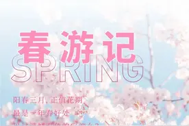 这才是宁波春天的正确打开方式......图片
