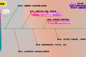 学霸的专注力怎么来的？知道大脑是如何产生专注力后，我恍然大悟图片