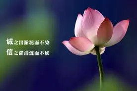 都知道315是消费者权益日，但你知道316是什么节日吗？图片