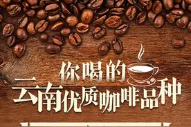 全是干货！把云南咖啡喝明白了图片