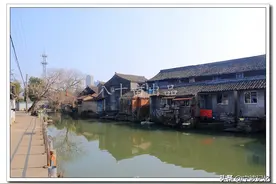 乘错公交车后，偶遇宋代古村--桃江村（鄞州区首南街道）图片
