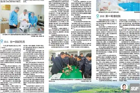 浙报聚焦丨温州山区海岛，来了“人才帮帮团”图片