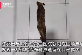 女子顺产2月后发现体内遗留纱布，拒绝院方3千元赔偿称“羞辱人”图片