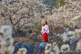 广州出发-清远阳山杨梅镇水浪花谷，漫步千亩山楂花园1天游图片