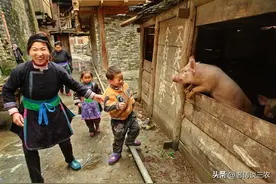 有人建议，农村每家每户都养一头猪，会出现什么新现象？图片