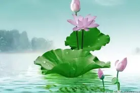 诗在线 罗玉玲小诗选图片