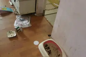 00后女租客拖欠房费退租，长沙女房东进门差点吐了！还发现了......图片
