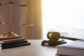 核子华曦跑路，涉及税款正好够张核子、张姗姗刑事立案标准图片