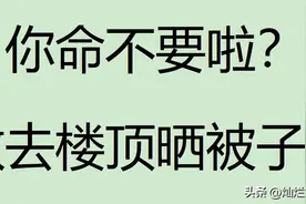 一文说清||高层楼顶天台归谁所有？能晒被子吗？能养狗吗？图片