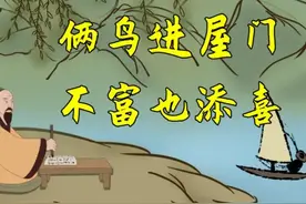 不是迷信！“两鸟进屋门，不富也添喜”，家里来这两种鸟千万别赶图片