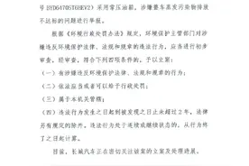 比亚迪这次，很可能没问题图片