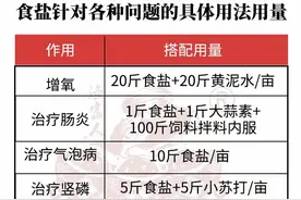 食盐在塘口的功效和具体用法图片