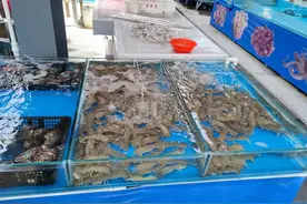 国庆节吃海鲜，建议：少吃梭子蟹和皮皮虾，多吃4样，鲜美正当季图片
