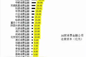 起底蚂蚁消金图片