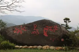 一次性把冰岛茶讲清楚图片