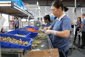 本科毕业后，瞒着家人进厂：进厂打螺丝，不再是调侃图片