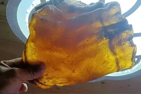 珍藏50年的毛鲿鱼鱼胶，为何值一套房子？它到底有什么作用？图片