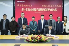 携手共进 擘画未来｜海亮乡村农业振兴项目落地畲乡景宁图片