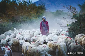 越南 扛不住了图片