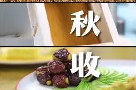 数说秋收｜你知道小米为啥是金黄色的吗？图片
