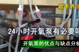 24小时不间断开氧泵有没有必要，为什么很多人建议开图片