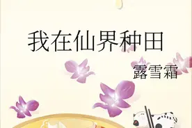 文风轻松的仙侠修真小说——《我在仙界种田》图片