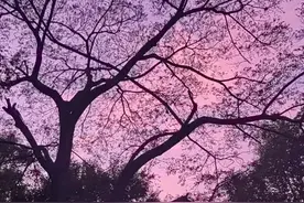 每天必须要持续两件事图片