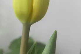 人生苦短，别自己糟蹋自己图片