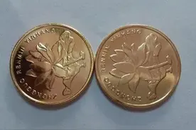 正在使用的荷花五角硬币，收藏就认准这两个年份，升值超20倍！图片