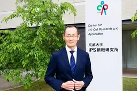 学术前沿丨诱导多能干细胞技术及其应用前景概述图片