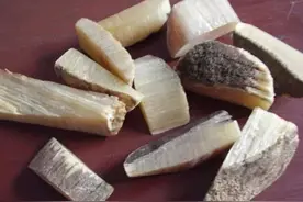 汤头歌诀—犀角地黄汤图片