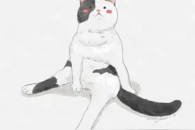 绝育后的猫咪更怕人吗？图片
