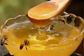 识别蜂蜜的真假，只需要一根铁丝，辨别真假就这么简单图片