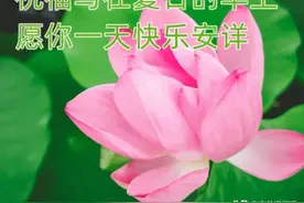 今日最新漂亮风景早上好图片带祝福语 最新聊天不打字图片图片