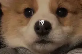 紧急！男子头孢就酒不知去向！民警发现一个细节图片
